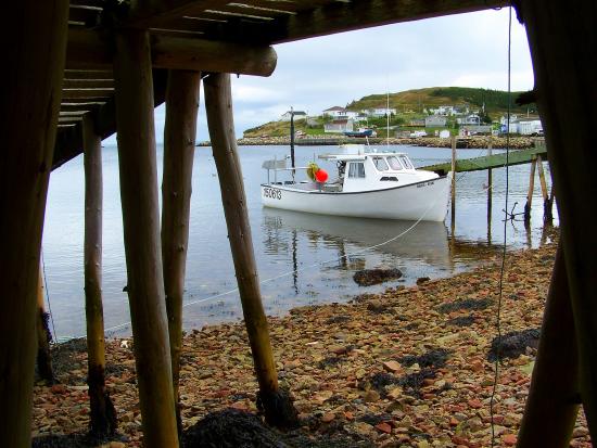 Main Gallery Display