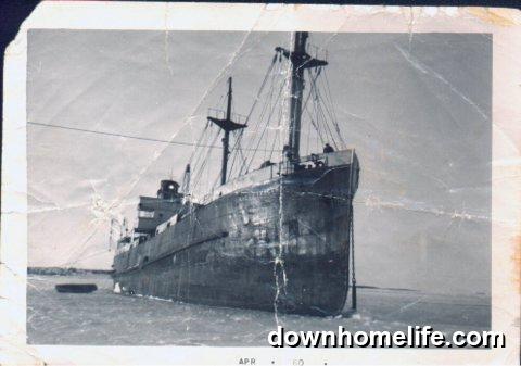 Main Gallery Display