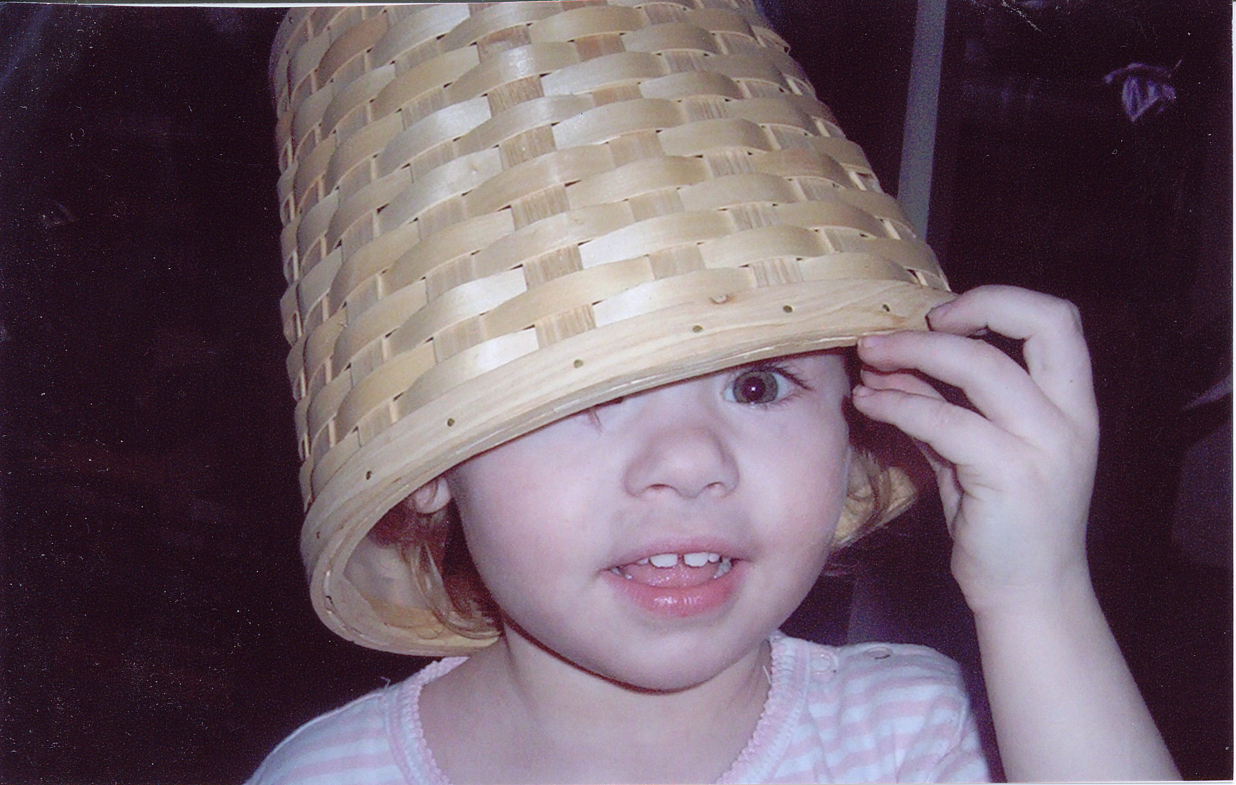 Main Gallery Display