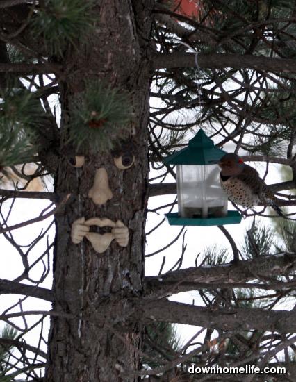 Main Gallery Display
