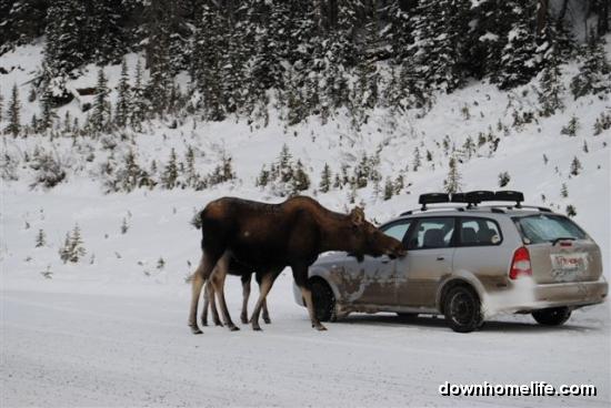 Main Gallery Display