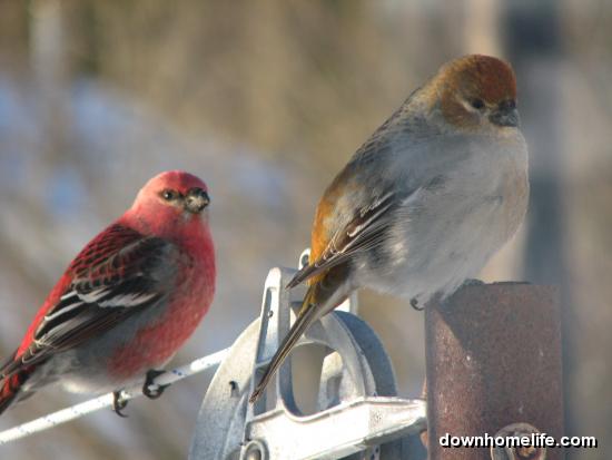 Main Gallery Display