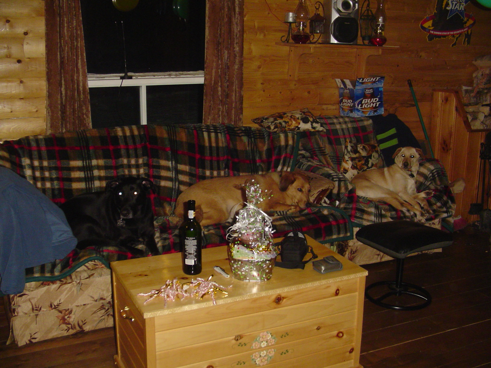 Main Gallery Display