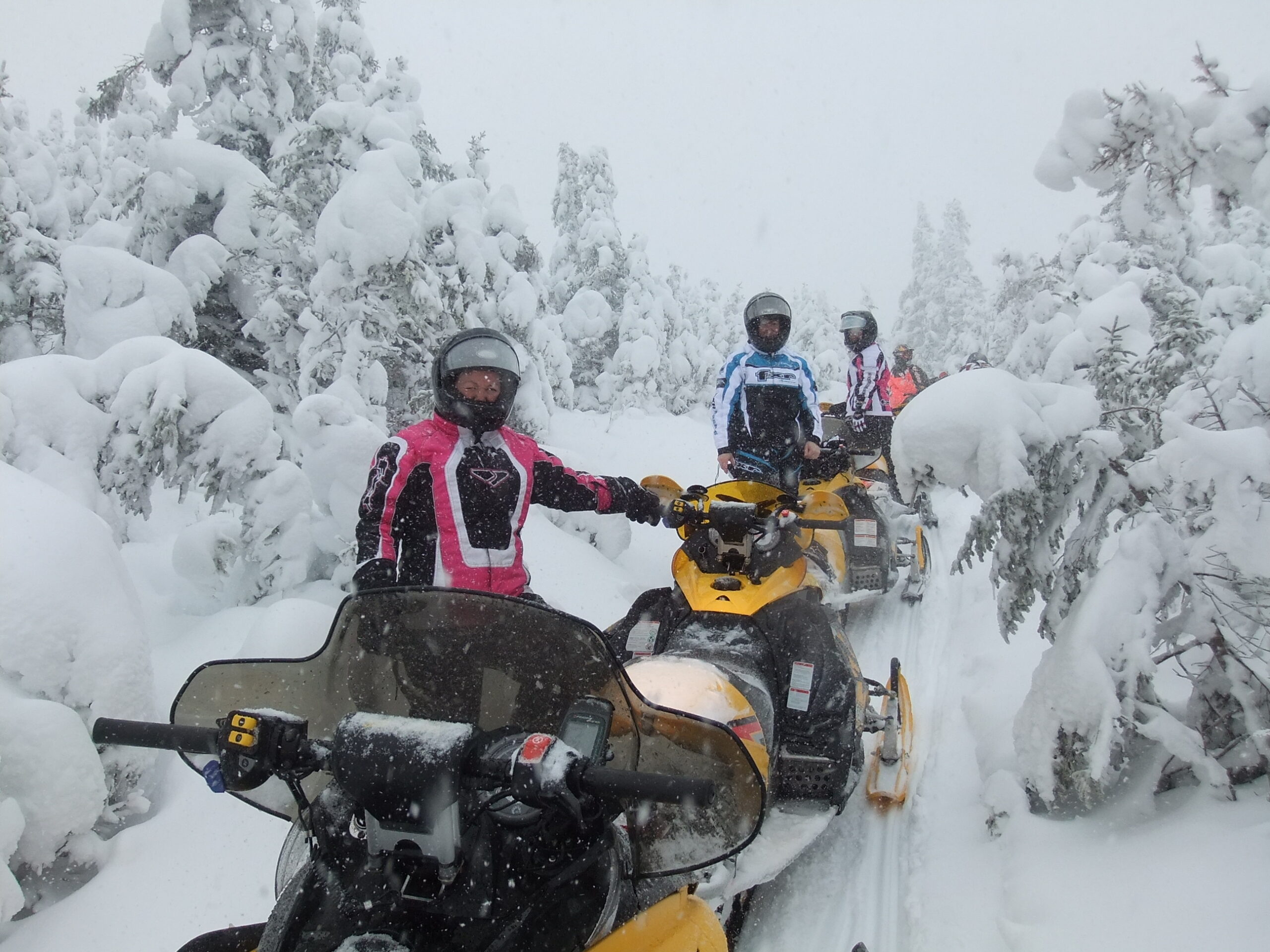 Main Gallery Display