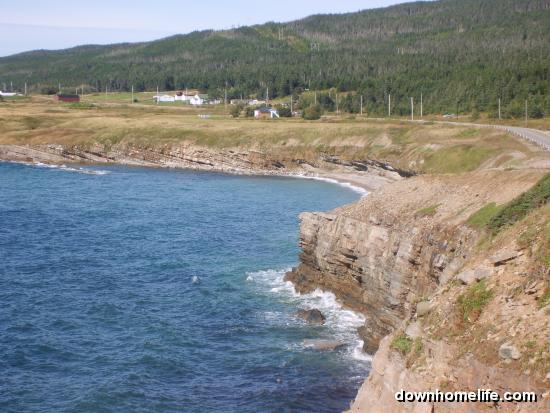 Main Gallery Display