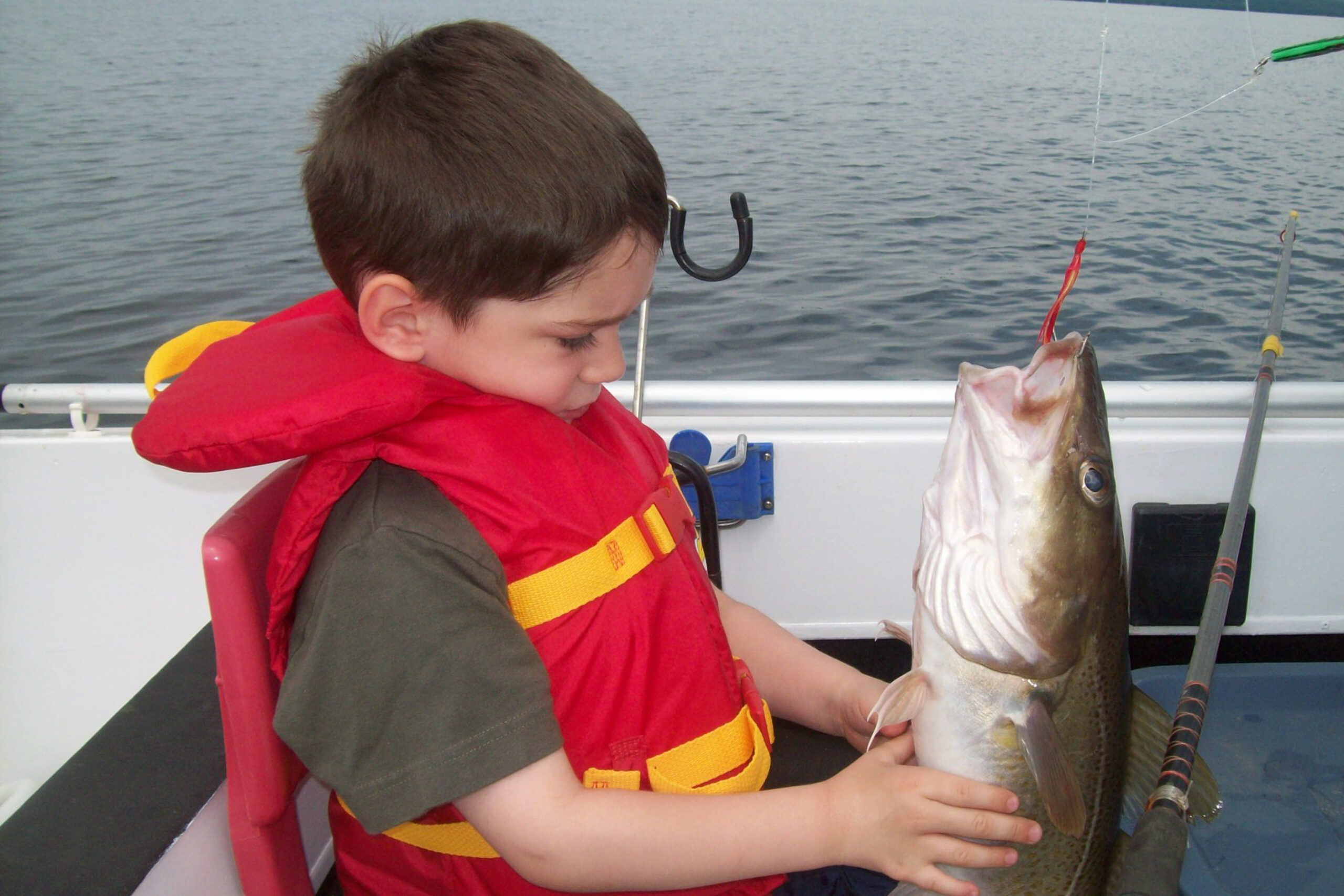 Cod Fishaways Dawson's Cod - Downhome Magazine