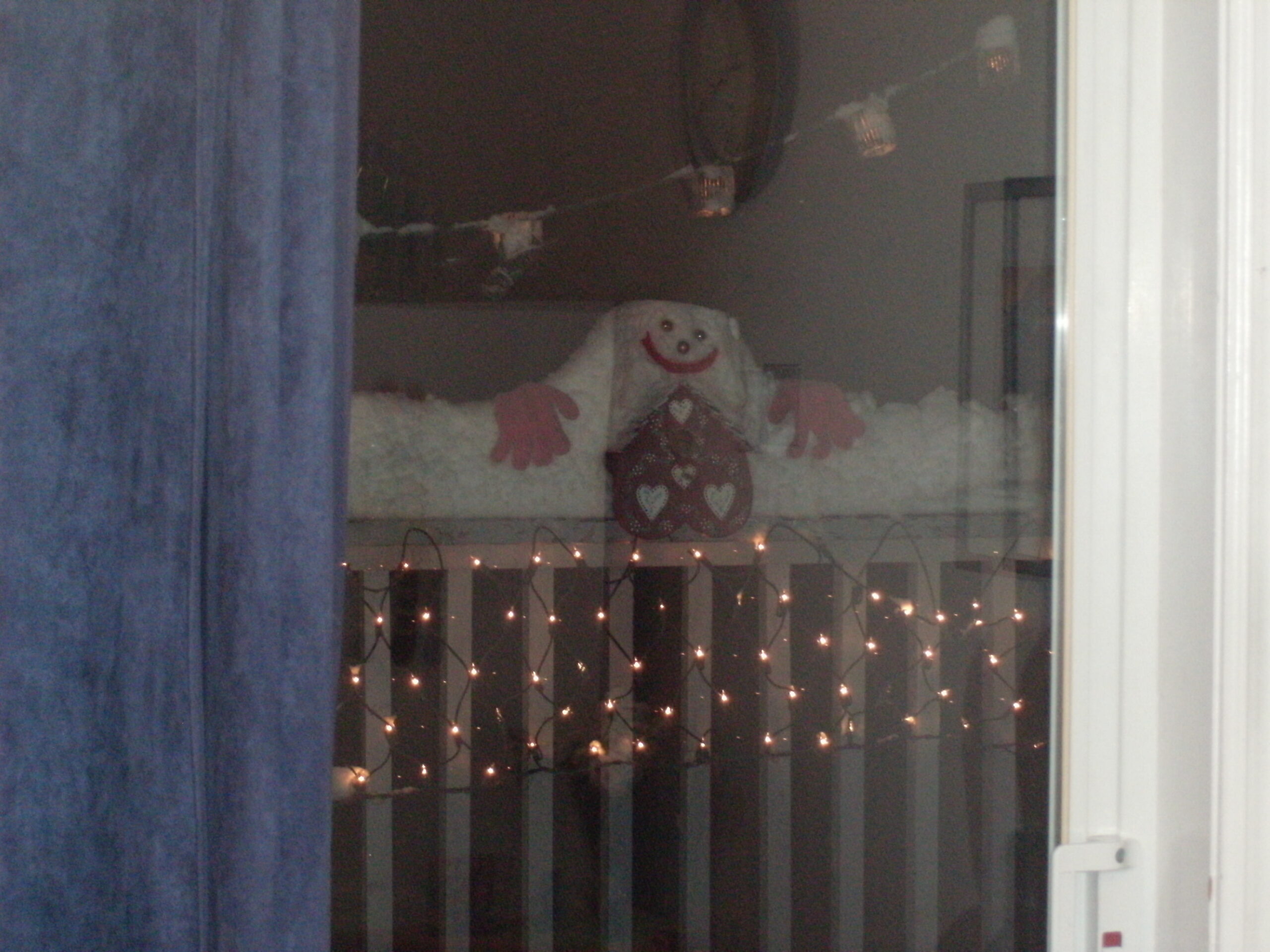 Main Gallery Display