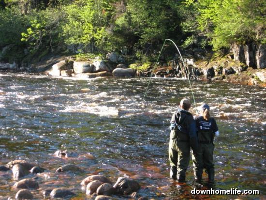 Main Gallery Display