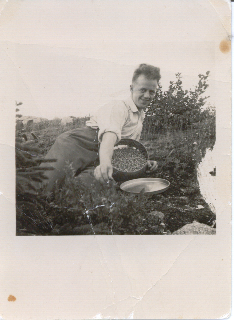 Main Gallery Display