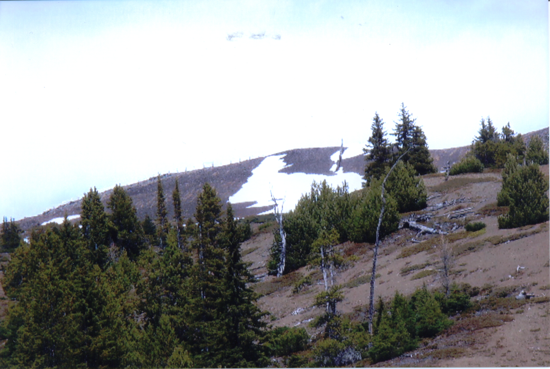 Main Gallery Display
