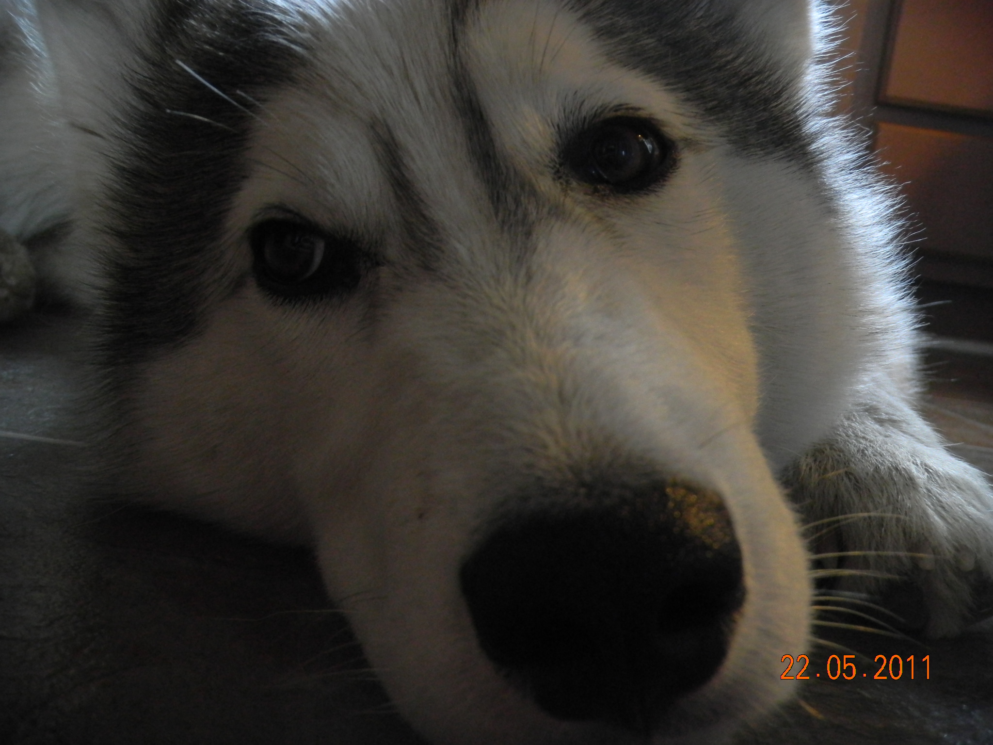 Main Gallery Display