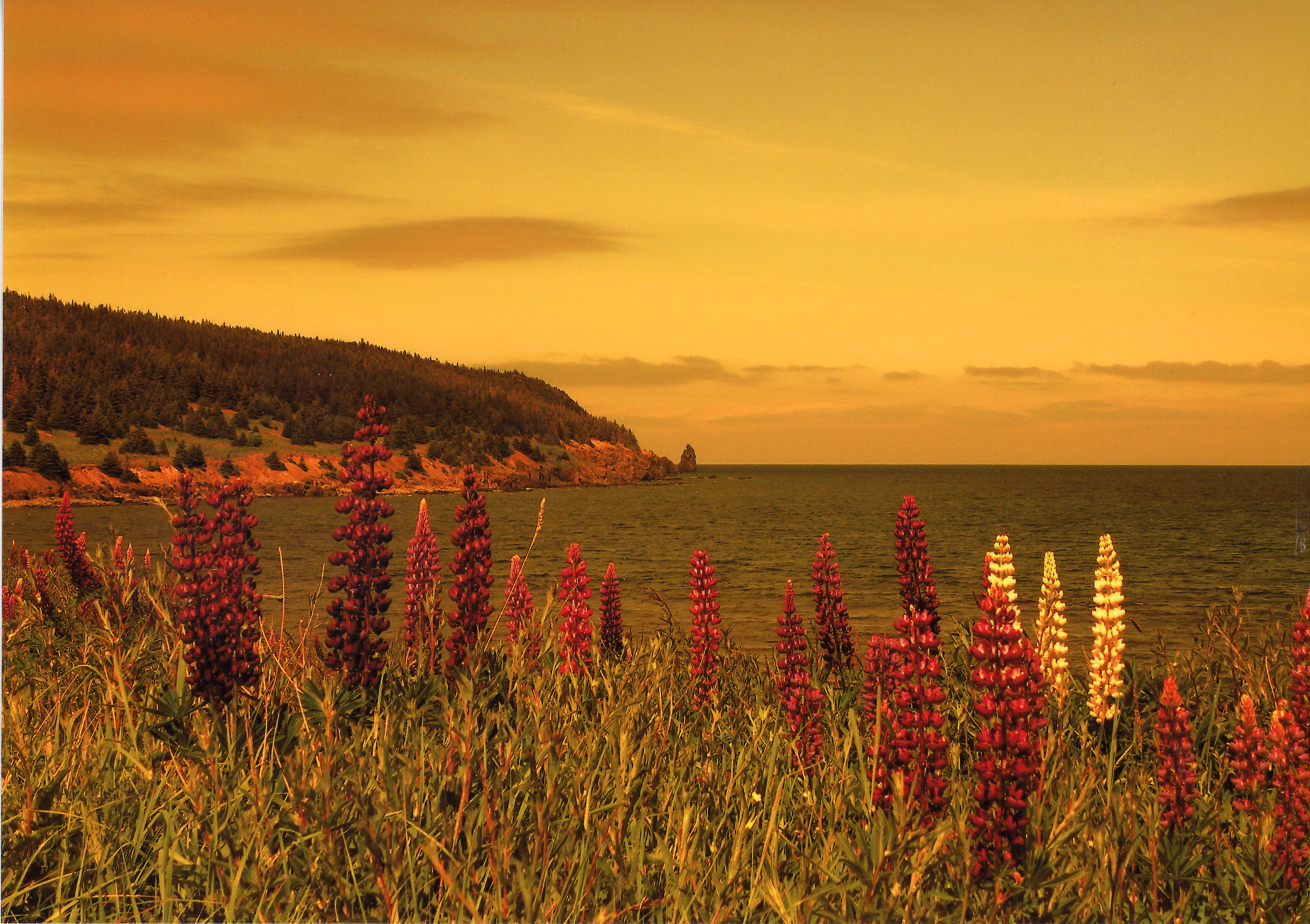 Main Gallery Display