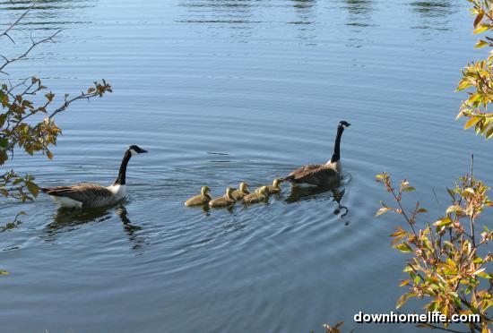 Main Gallery Display