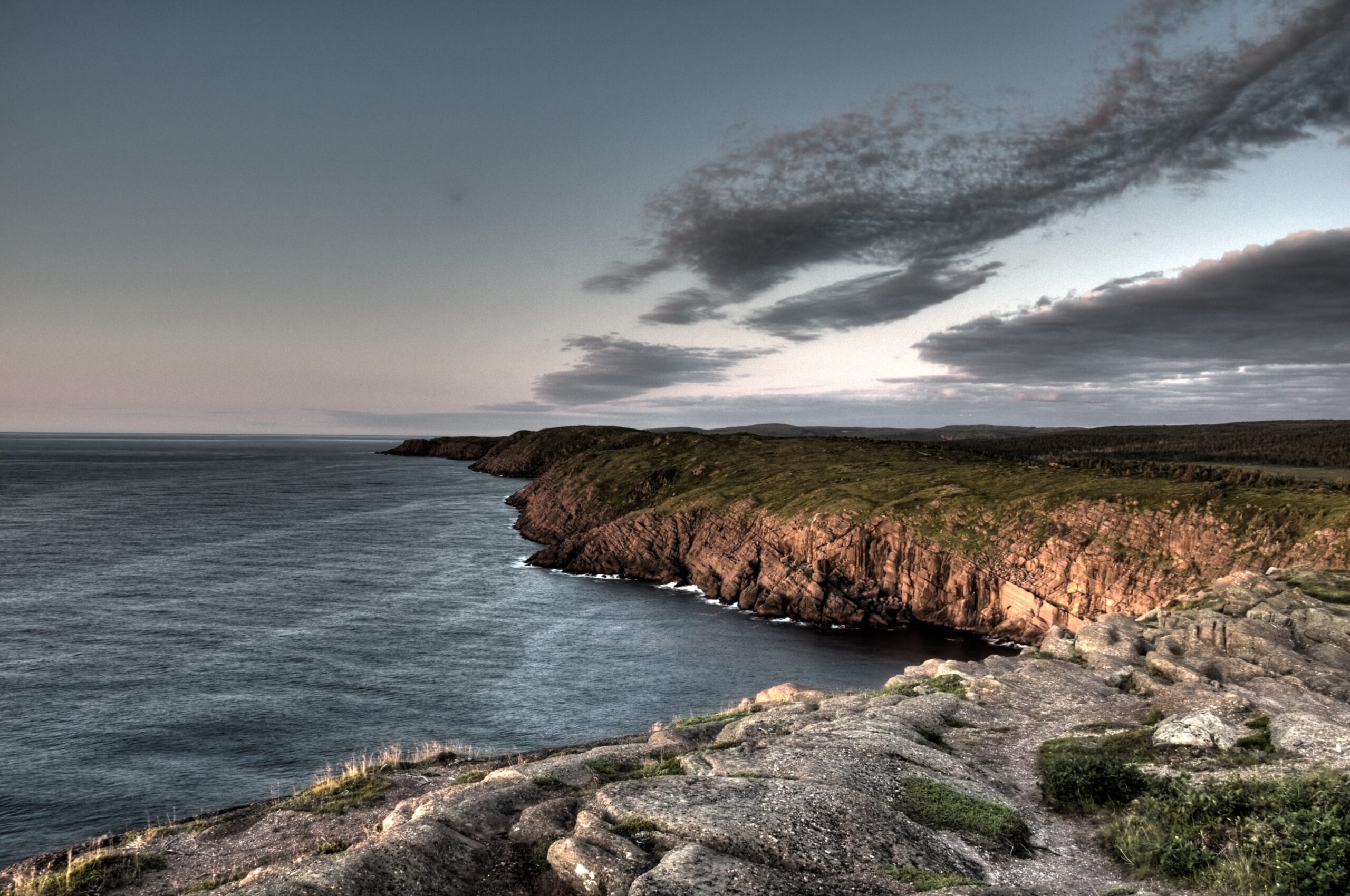Main Gallery Display