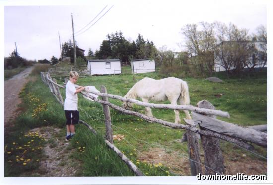 Main Gallery Display