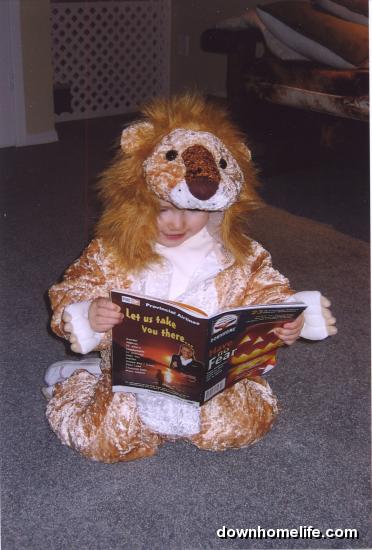 Main Gallery Display