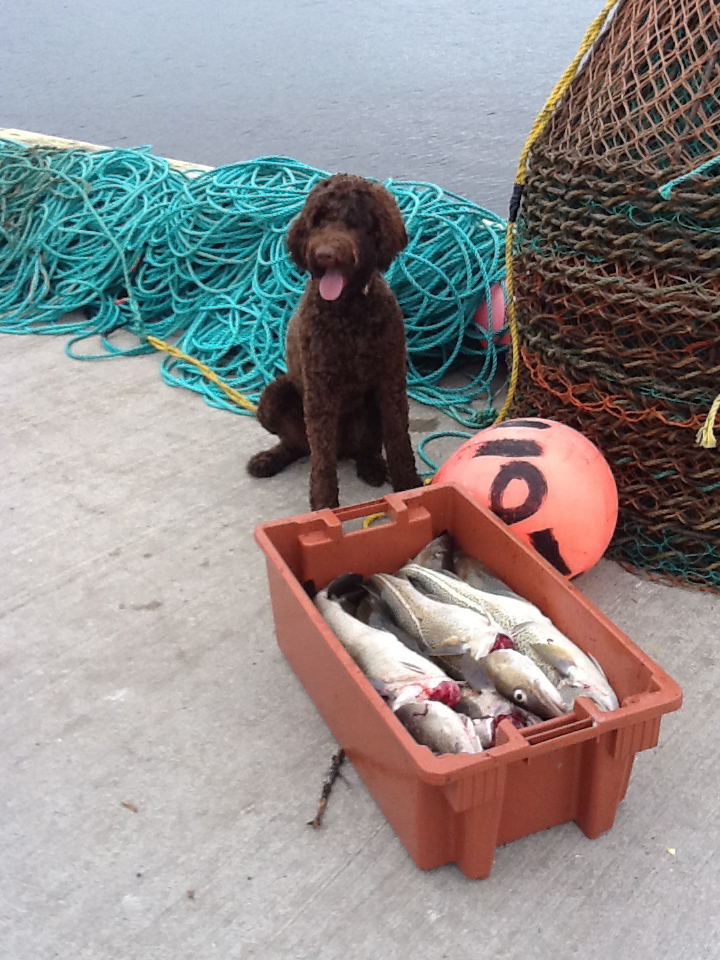 Main Gallery Display