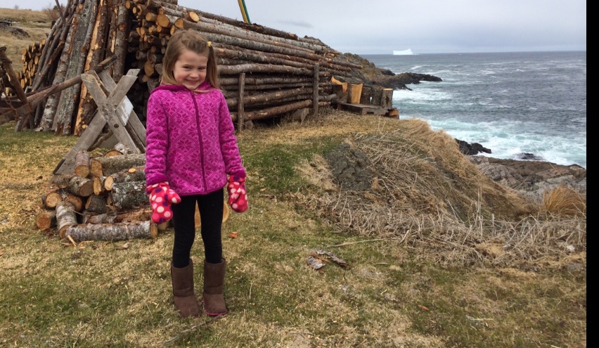 Main Gallery Display