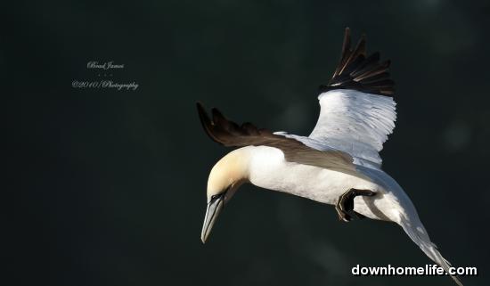 Main Gallery Display