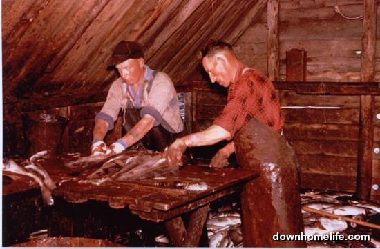 Main Gallery Display