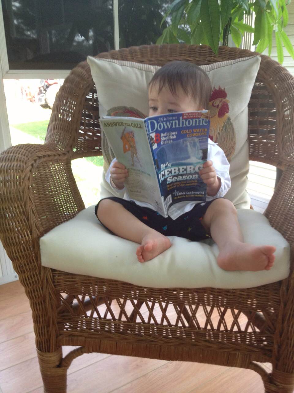 Main Gallery Display