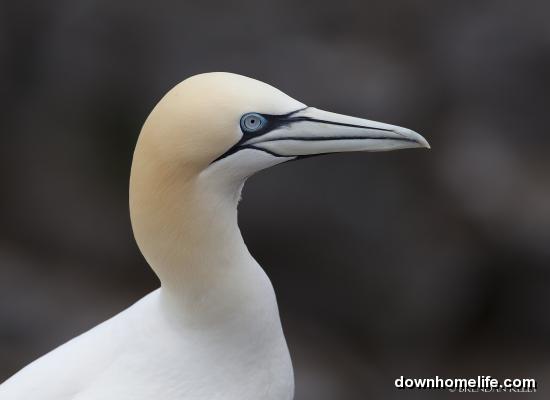 Main Gallery Display