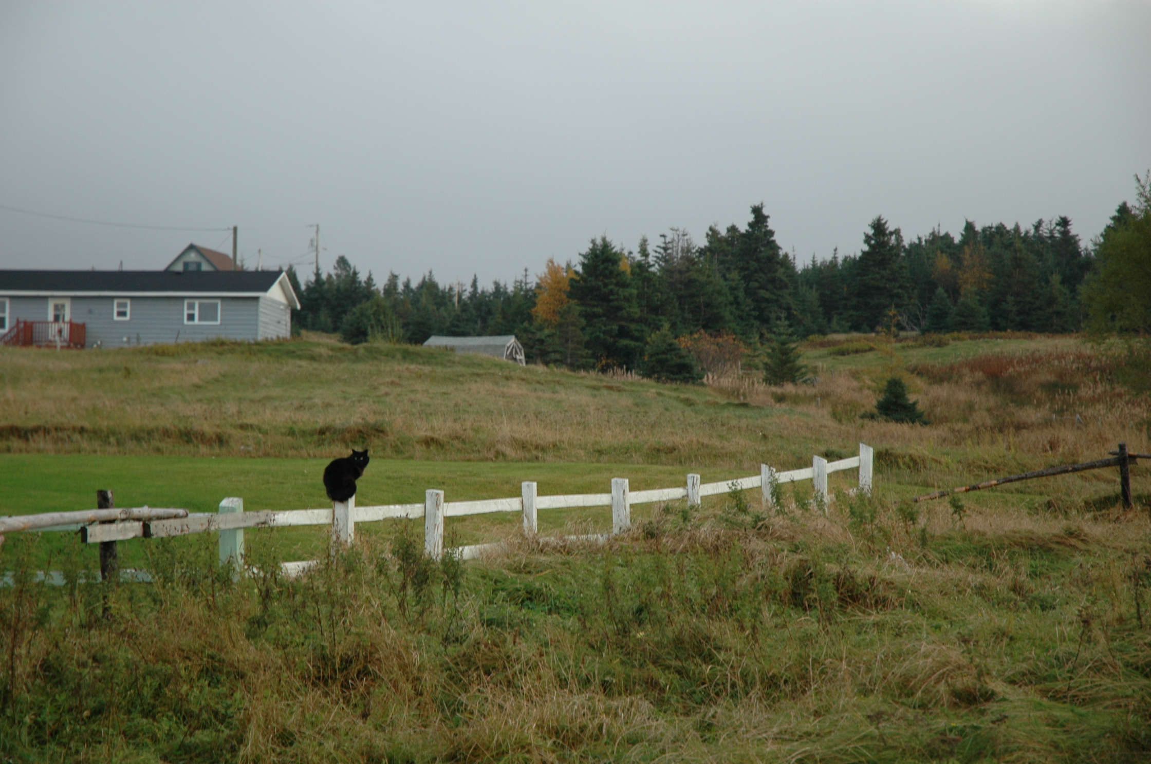 Main Gallery Display