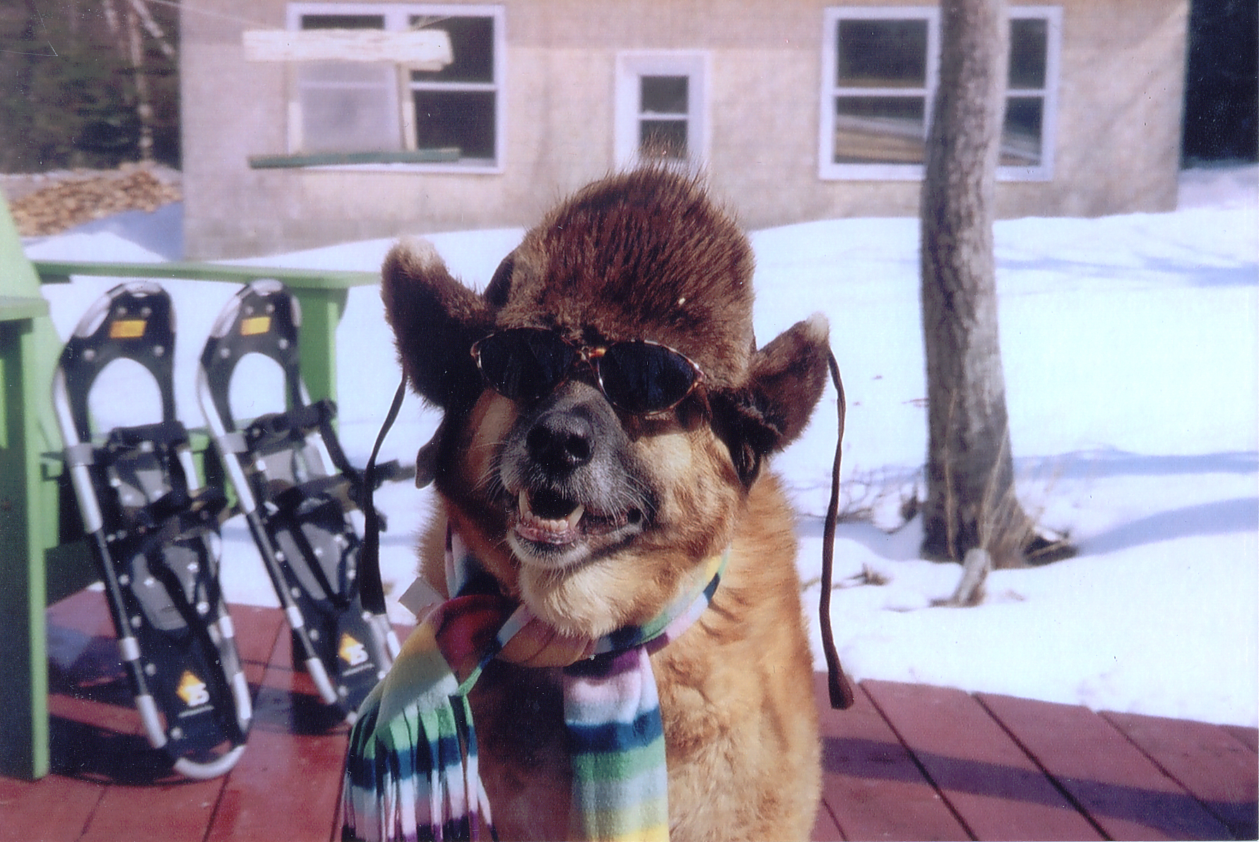 Main Gallery Display