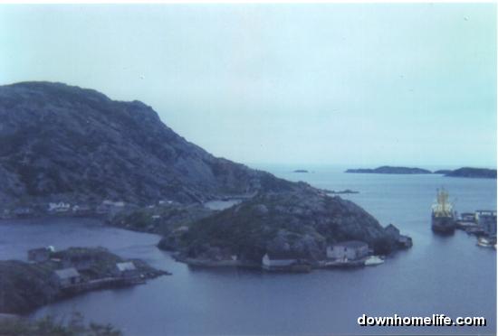 Main Gallery Display