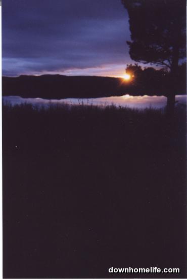 Main Gallery Display