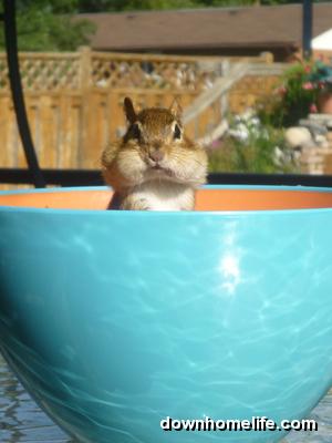 Main Gallery Display