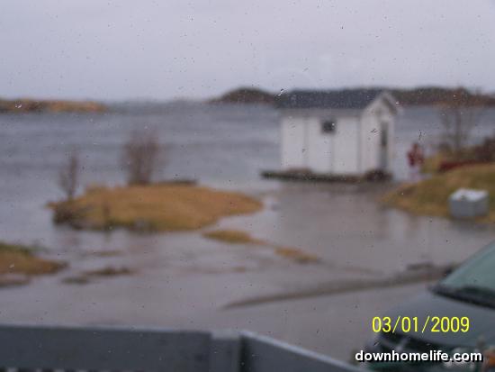 Main Gallery Display
