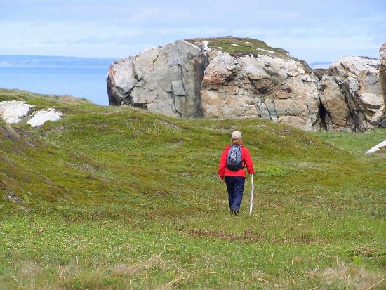 Main Gallery Display