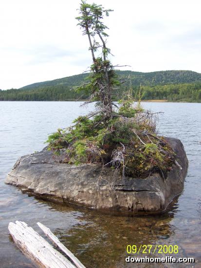 Main Gallery Display