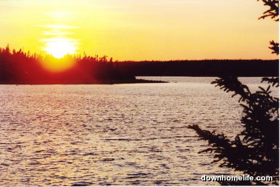 Main Gallery Display