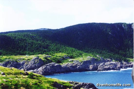 Main Gallery Display