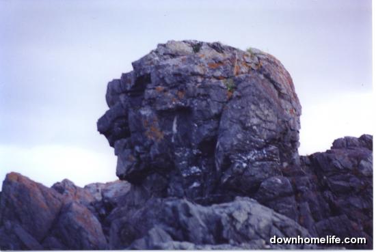 Main Gallery Display