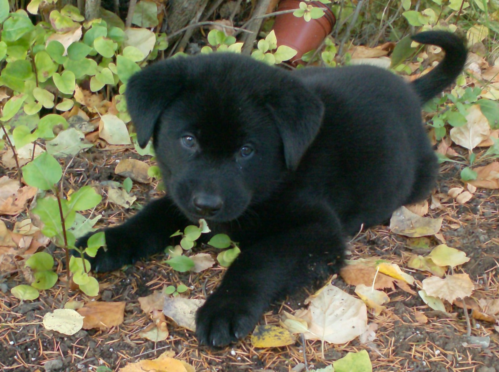 Main Gallery Display
