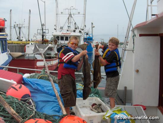 Main Gallery Display