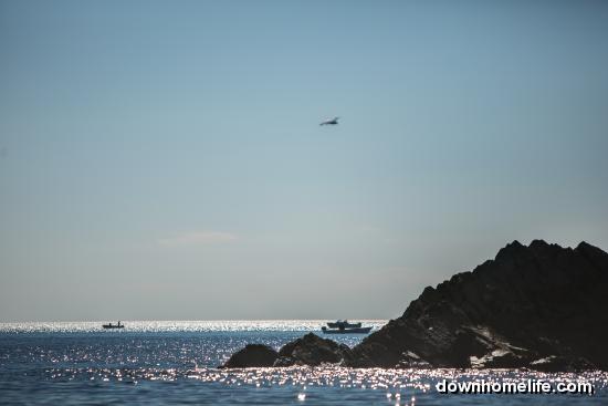 Main Gallery Display