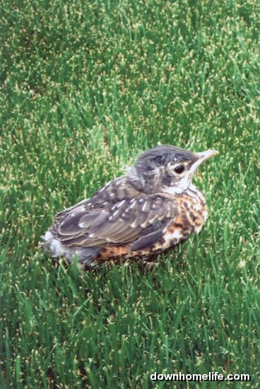 Main Gallery Display