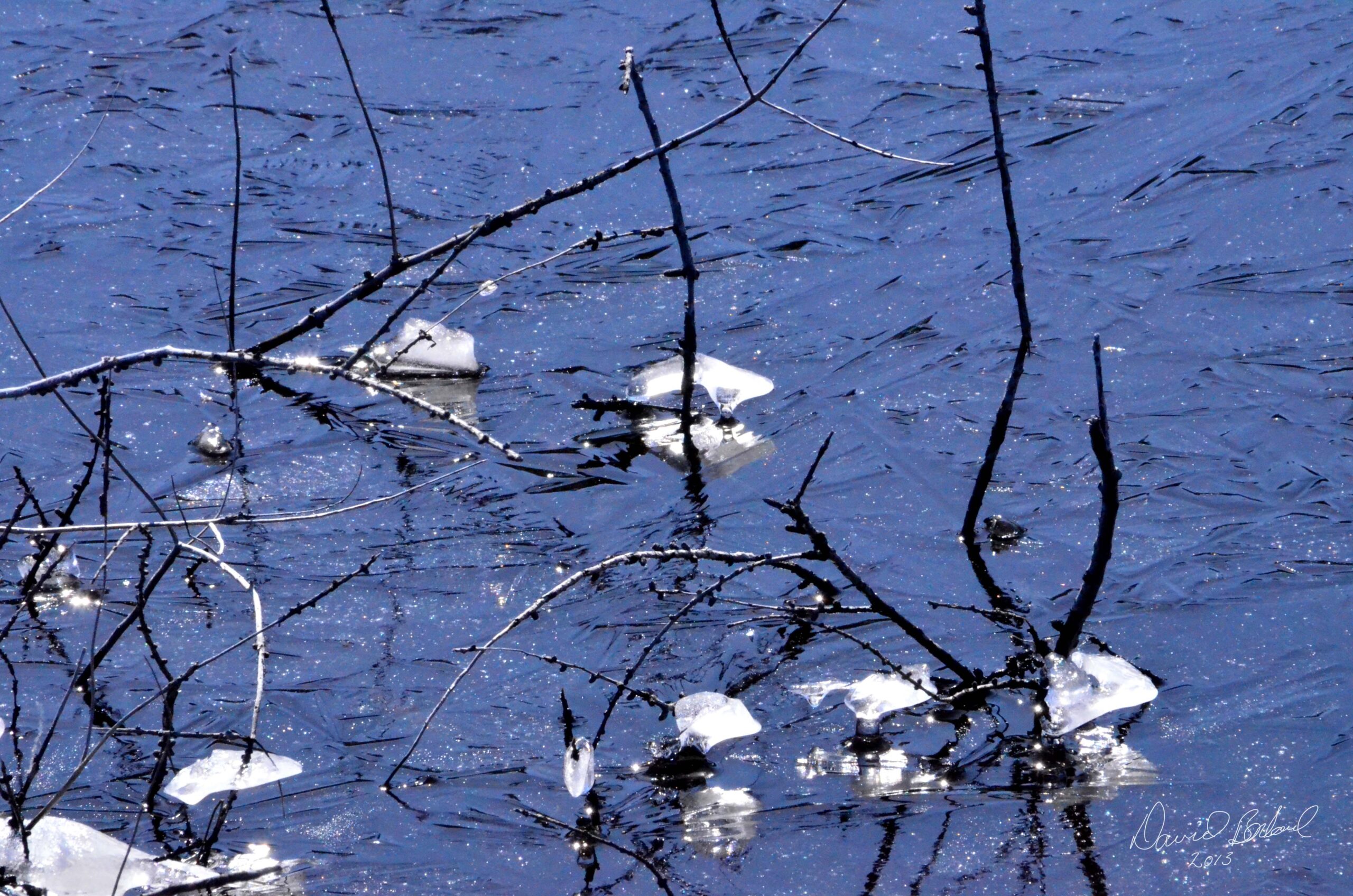 Main Gallery Display