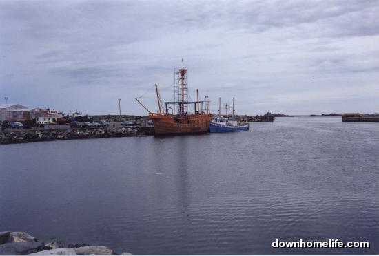 Main Gallery Display