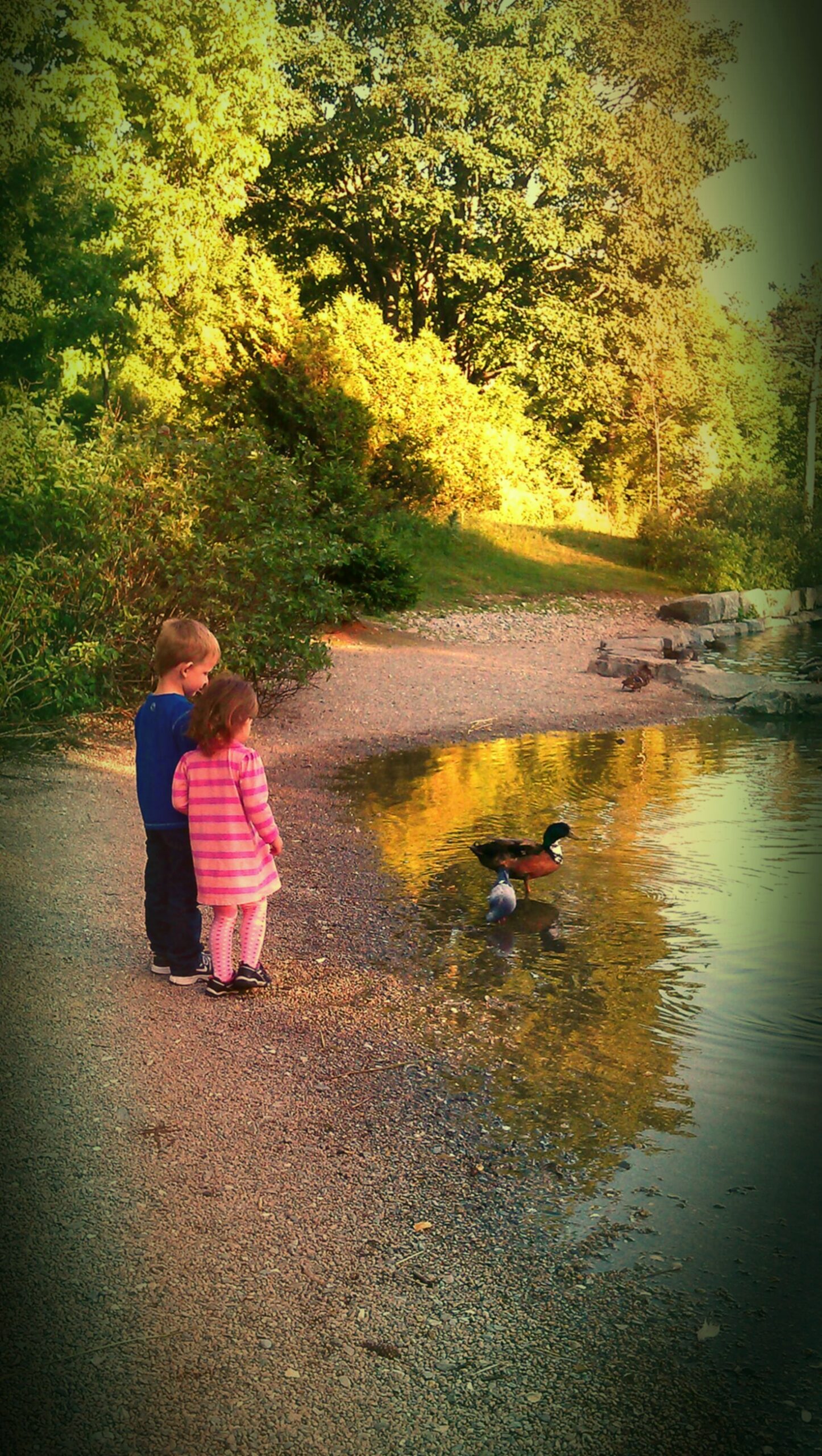 Main Gallery Display