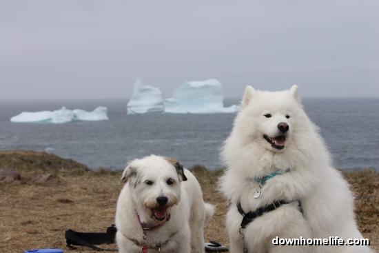 Main Gallery Display