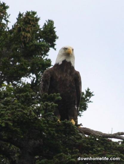 Main Gallery Display