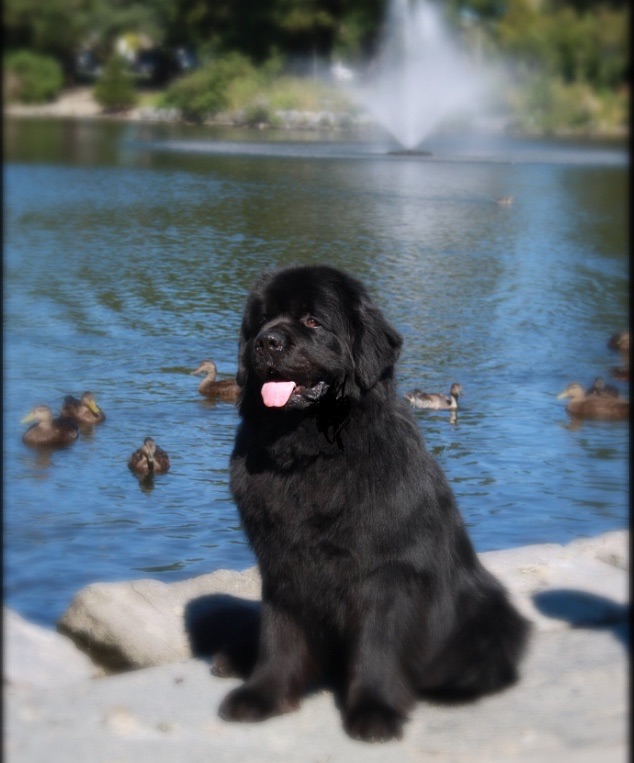 Main Gallery Display