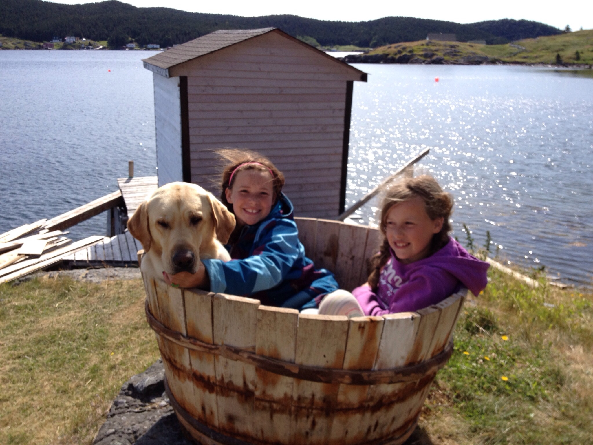 Main Gallery Display
