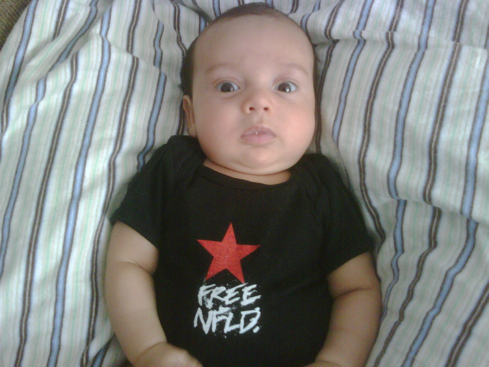 Main Gallery Display