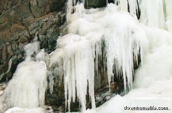 Main Gallery Display